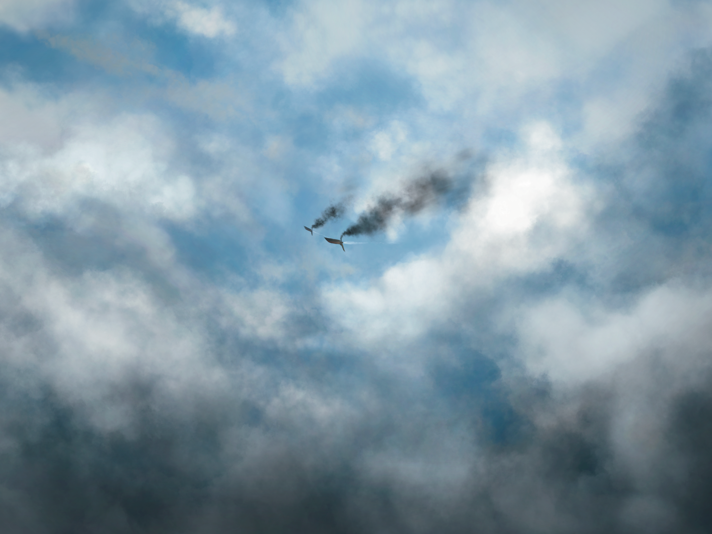 Airsheeps Art Print